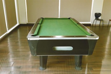 Amit's Colori Snooker Table